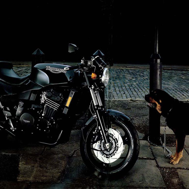 Triumph Bike facing a Rottweiler 